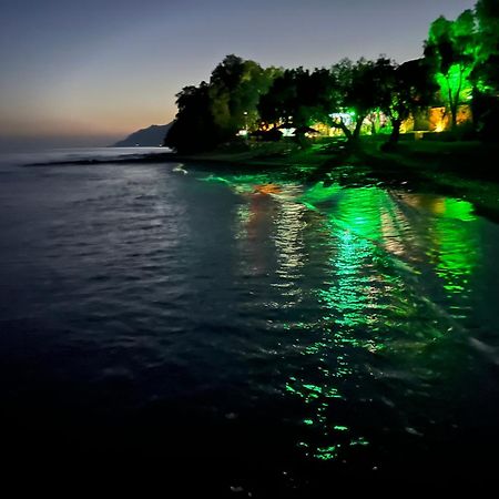 Nikkon Luxury Living Villa Arvi  Luaran gambar
