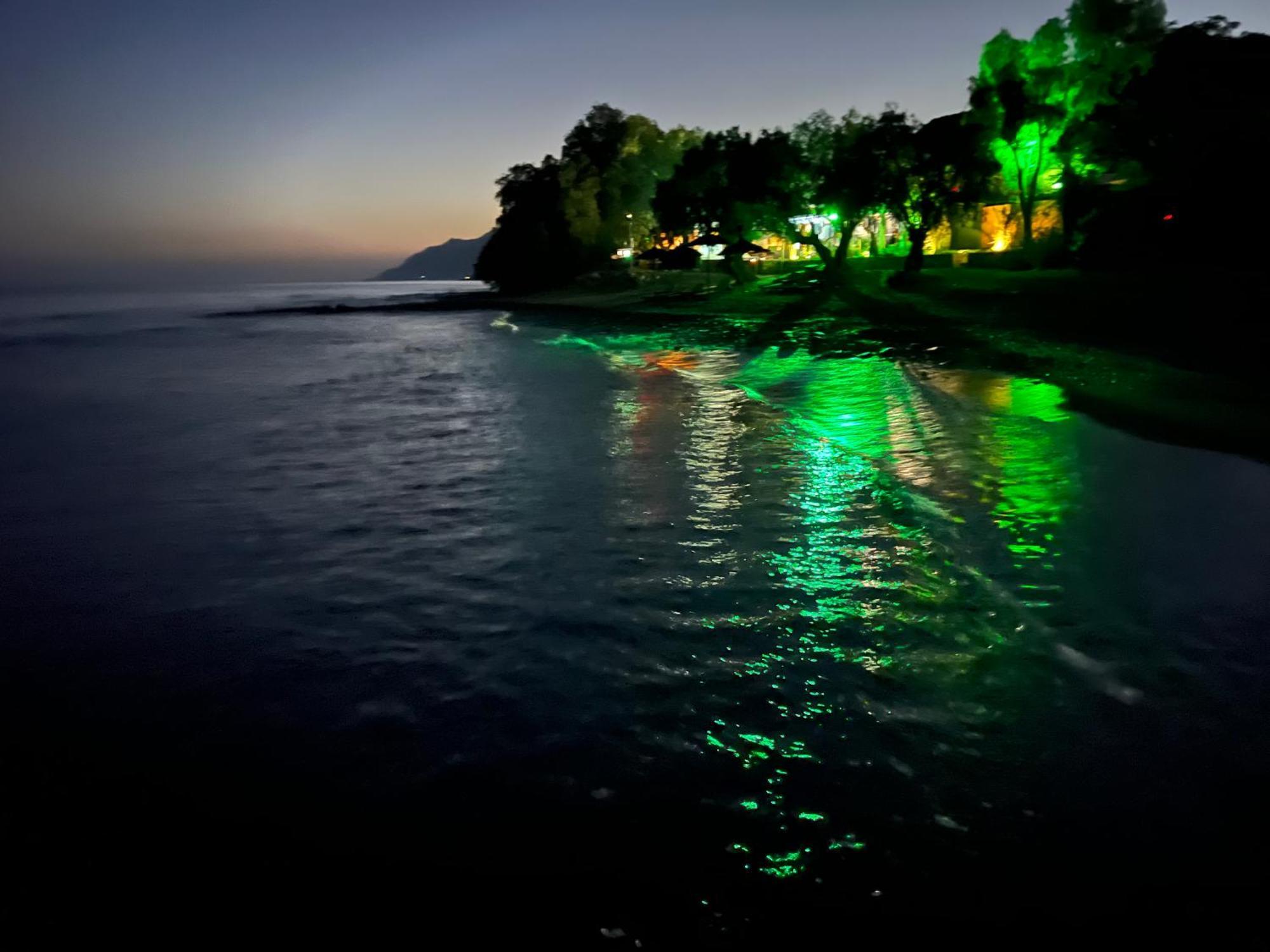 Nikkon Luxury Living Villa Arvi  Luaran gambar